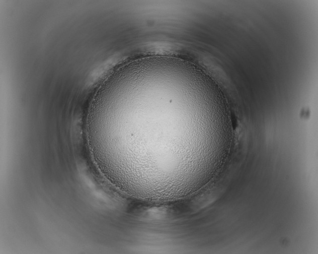 X0000113980306200910021144