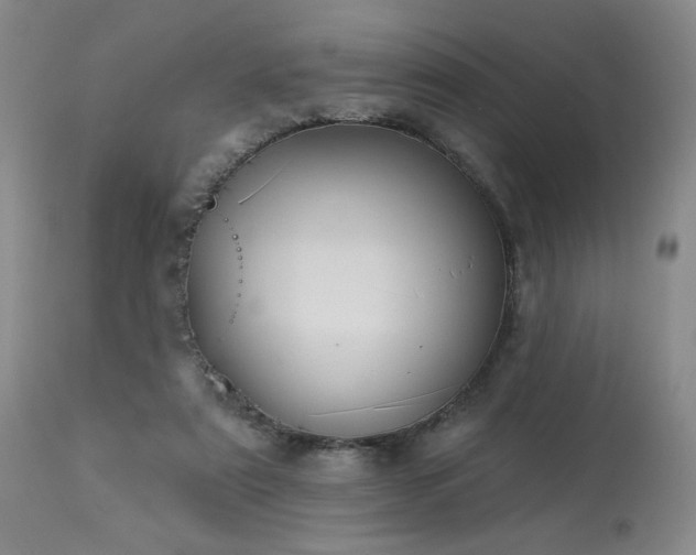 X0000113980307200910021144