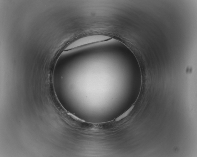 X0000113980308200910021144