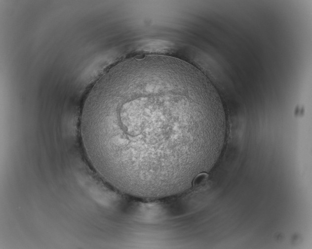 X0000113980309200910021144