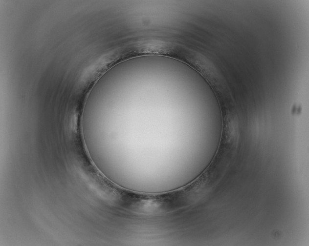 X0000113980310200910021144