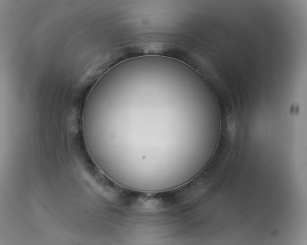 X0000113980311200910021144