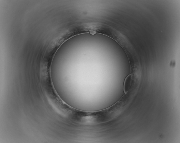 X0000113980312200910021144