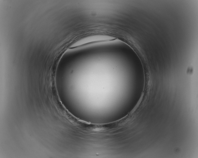 X0000113980313200910021144