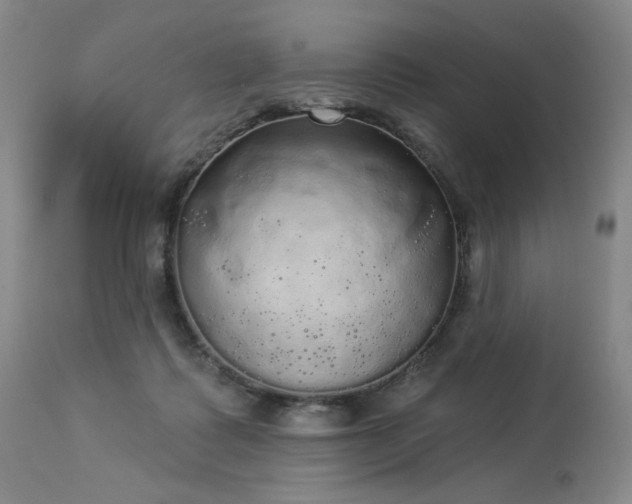 X0000113980315200910021143