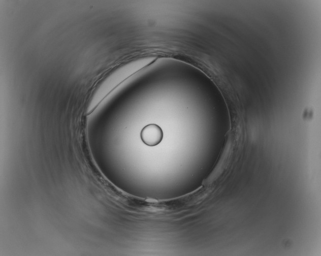 X0000113980317200910021143