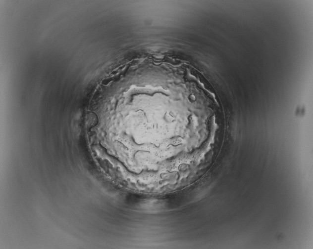 X0000113980319200910021143