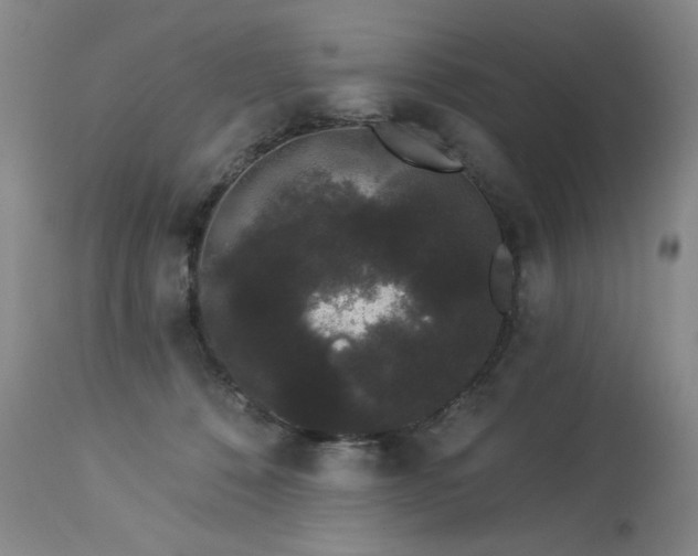 X0000113980320200910021143