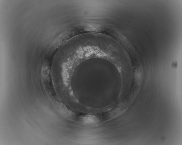 X0000113980322200910021143