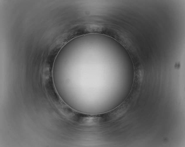 X0000113980323200910021143