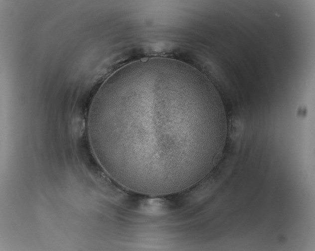 X0000113980324200910021143