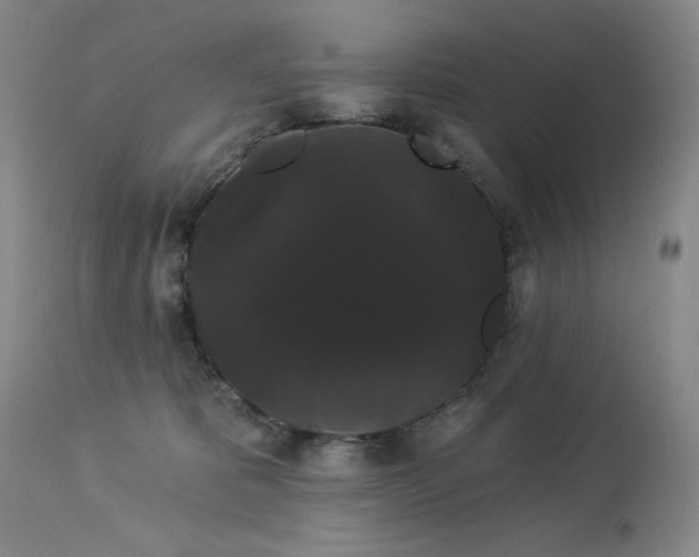 X0000113980325200910021143