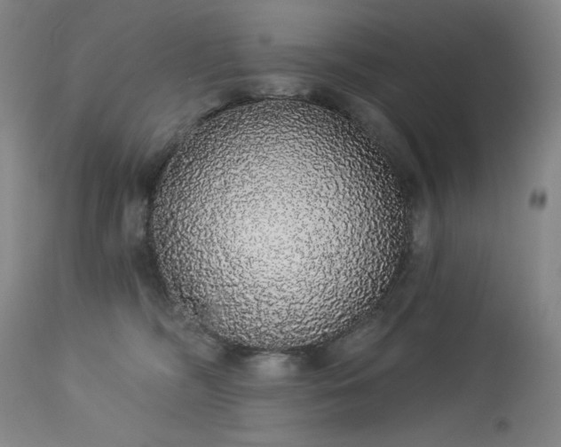 X0000113980326200910021143