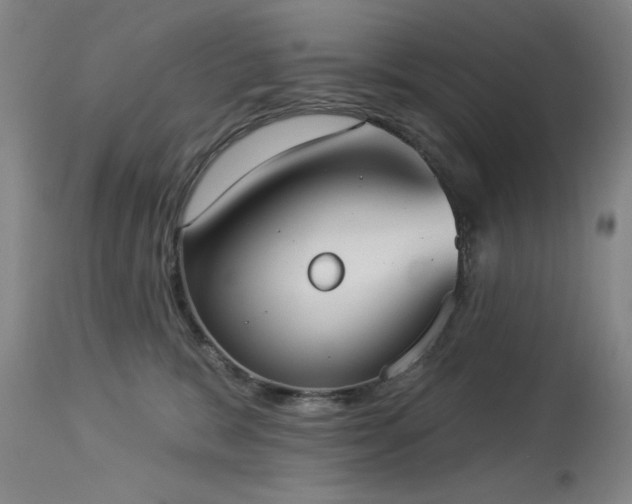 X0000113980327200910021143