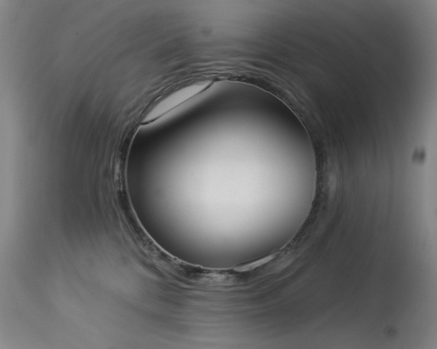 X0000113980328200910021143