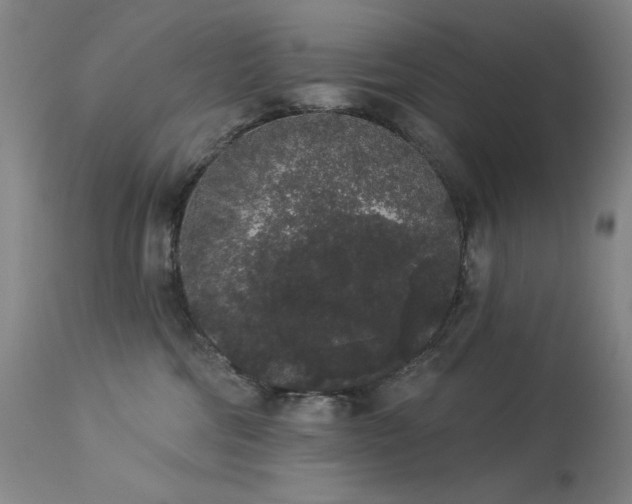 X0000113980330200910021143