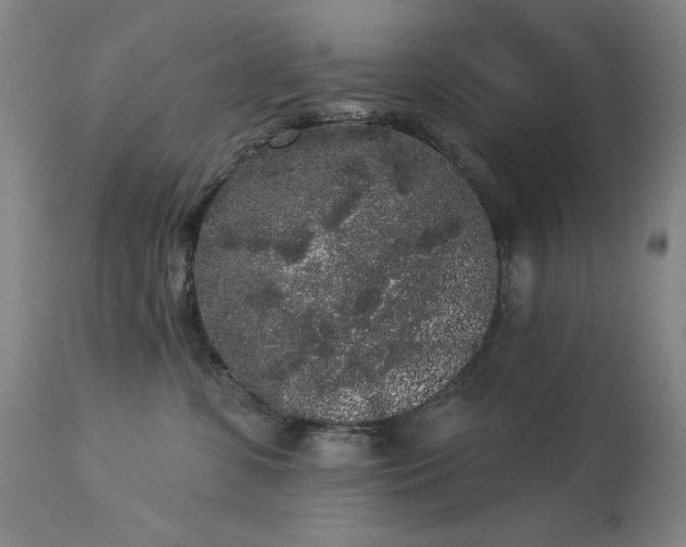 X0000113980331200910021143