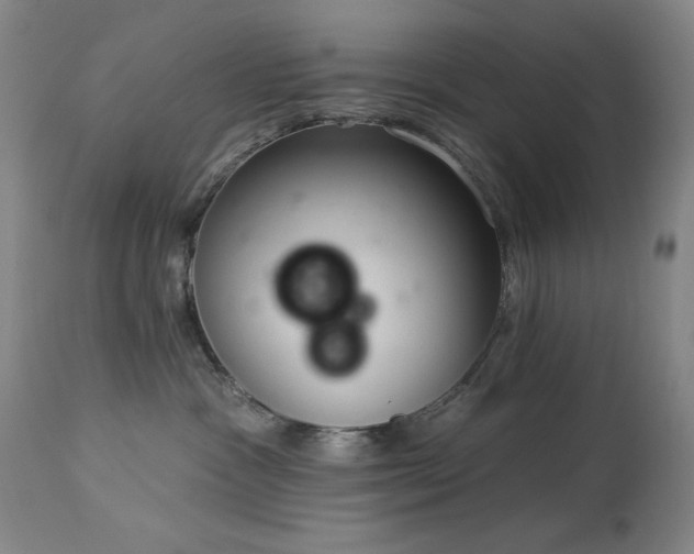 X0000113980333200910021143