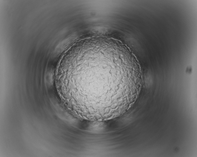 X0000113980334200910021143