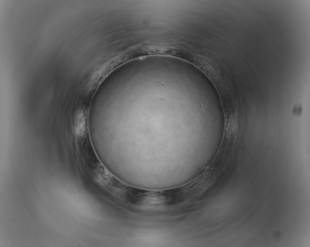 X0000113980335200910021143