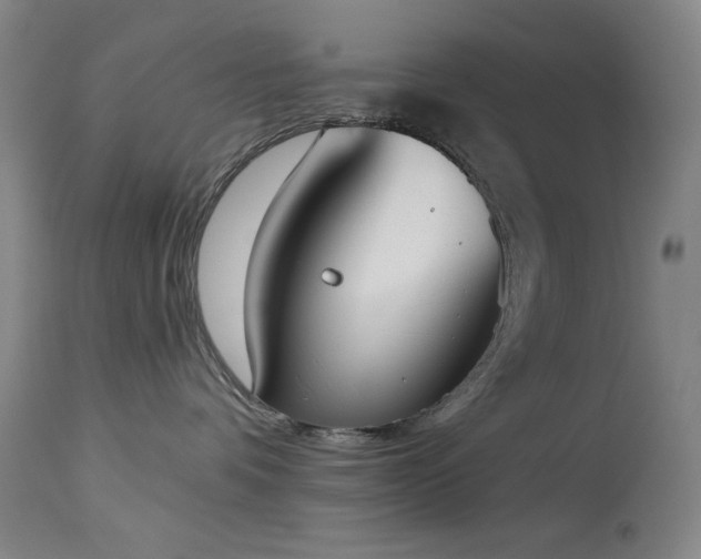 X0000113980336200910021143