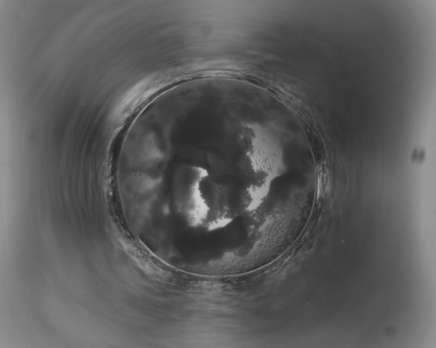 X0000113980339200910021142