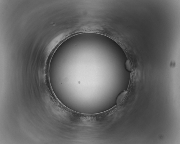 X0000113980340200910021142