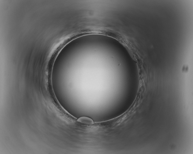 X0000113980342200910021142