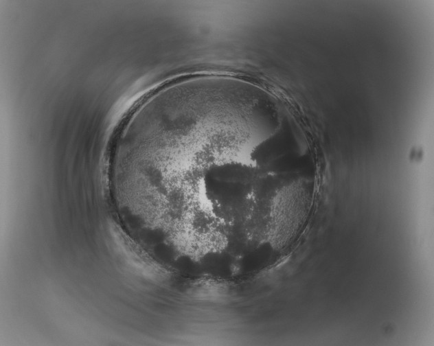 X0000113980343200910021142