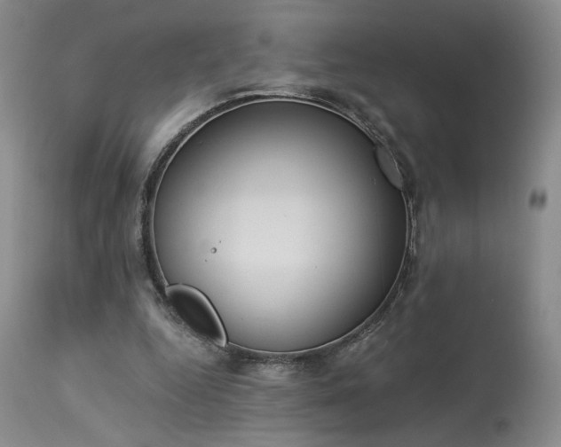 X0000113980344200910021142