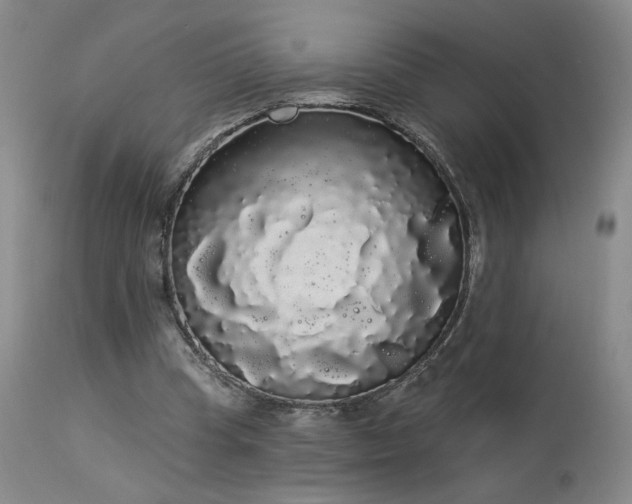 X0000113980345200910021142