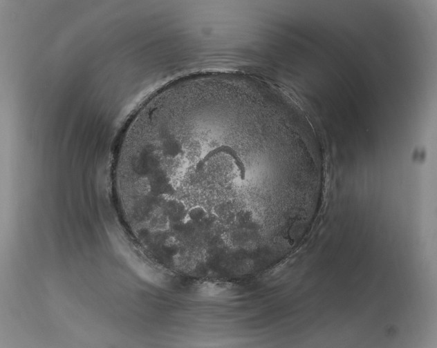 X0000113980346200910021142