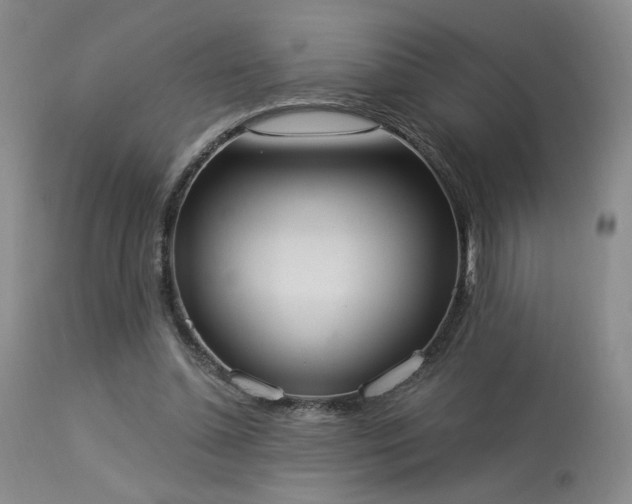 X0000113980348200910021142