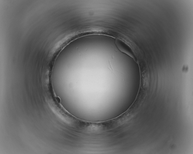 X0000113980350200910021142