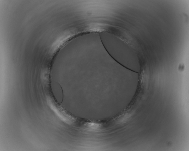 X0000113980352200910021142