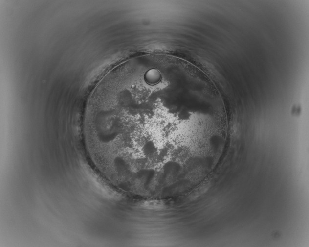 X0000113980353200910021142