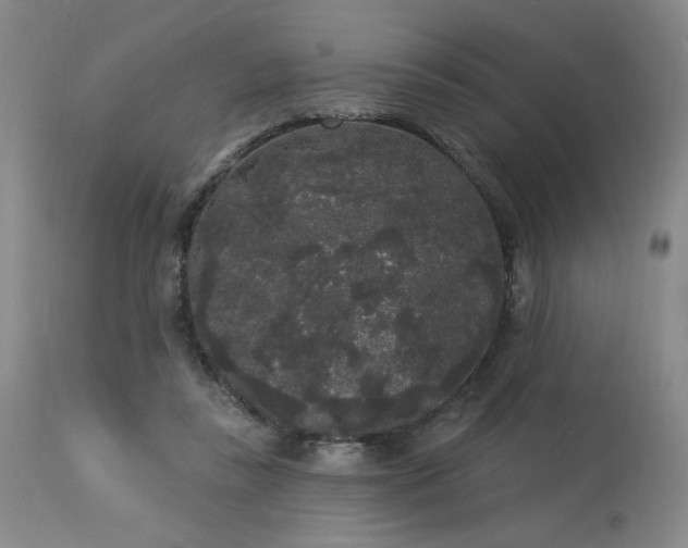 X0000113980355200910021142