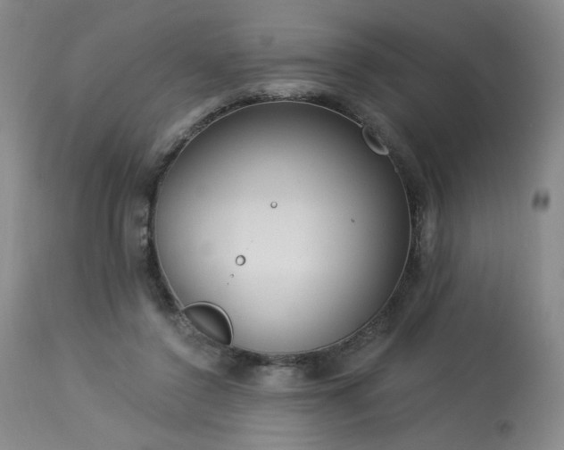 X0000113980356200910021142