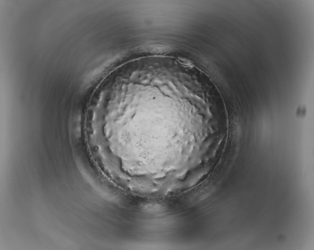 X0000113980358200910021142