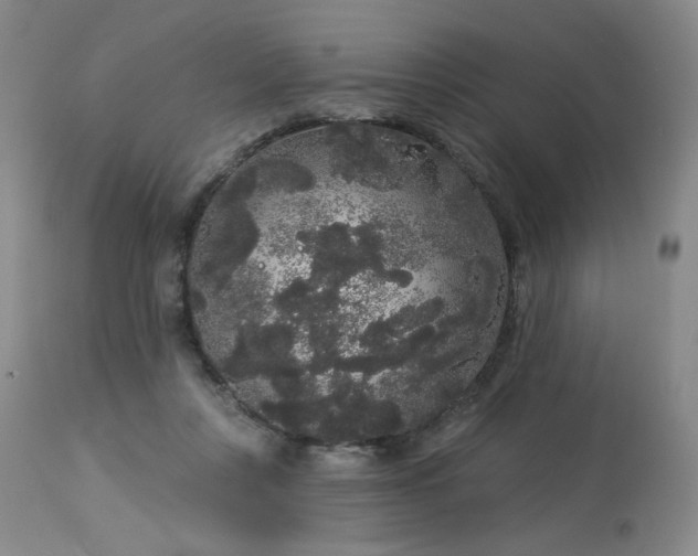 X0000113980359200910021143