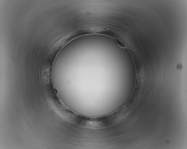 X0000113980360200910021143