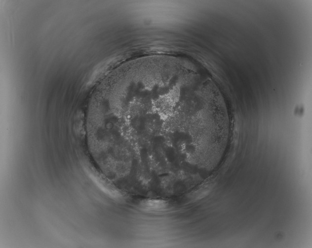 X0000113980361200910021143