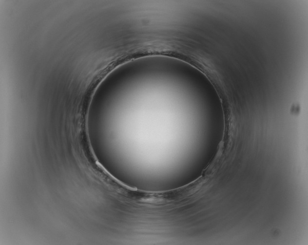 X0000113980362200910021143