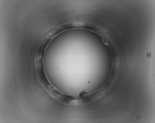 X0000113980364200910021143