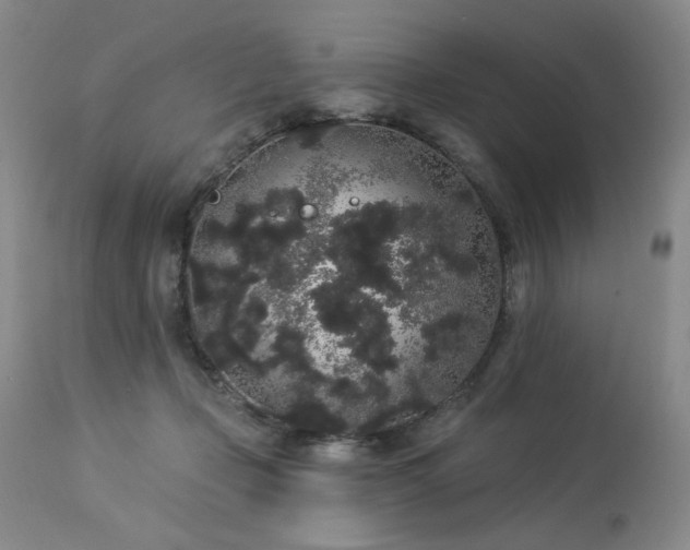 X0000113980365200910021143