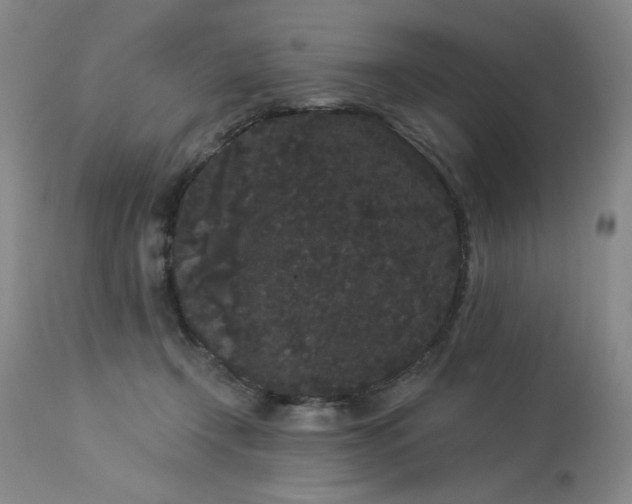 X0000113980366200910021143