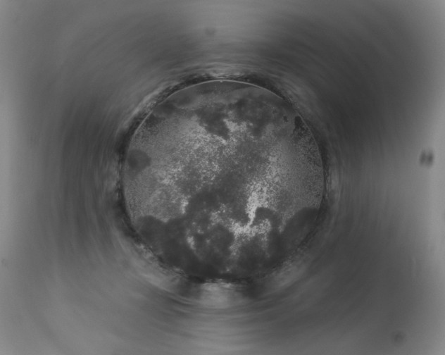 X0000113980367200910021143