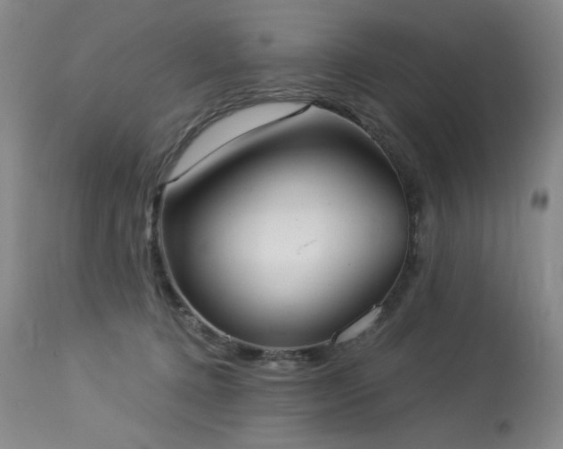 X0000113980368200910021143