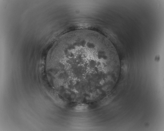 X0000113980369200910021143