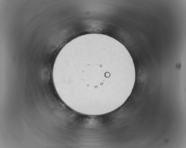 X0000113980370200910021143